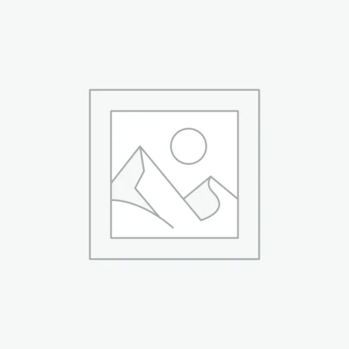 woocommerce-placeholder Brown trendy hand bag